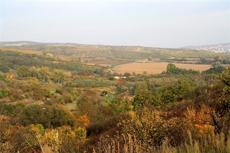 Podzim hýřící barvami