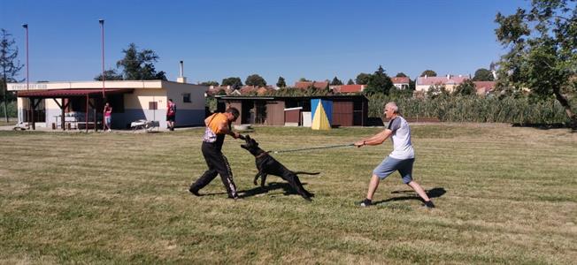 Kynologický klub * Sraz klubu Swinford Bandog Slovakia